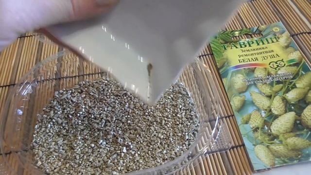 Быстрый способ выращивания земляники из семян - золотой десерт, белая душа смотреть онлайн