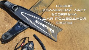 Подбор ласт для подводной охоты от SCORPENA