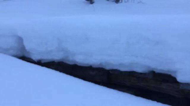 Загадки Мурманска. В поисках лабиринта смотреть онлайн