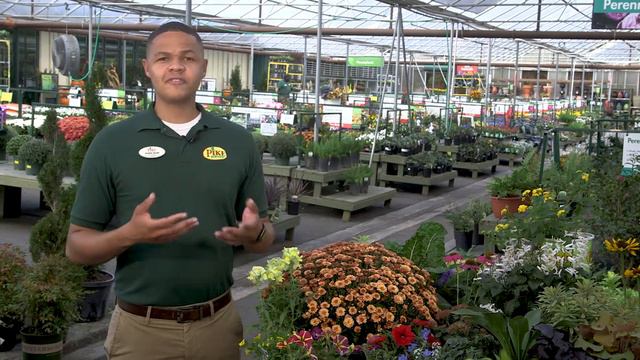 The Difference Between Annuals, Biennials & Perennials смотреть онлайн