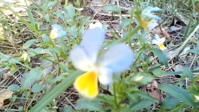 Христианские стихи с глубоким смыслом. смотреть онлайн