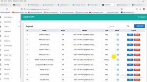 Payload DNS Update