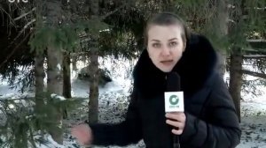 Вороны атакуют Новосибирск. Ночью посетители Первомайского сквера наблюдали нашествие птиц