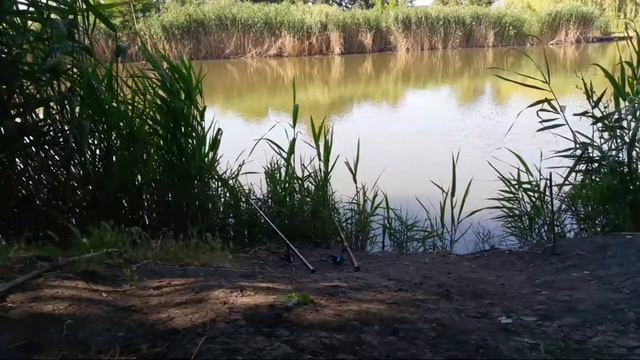 Рыбалка. Эпизод 1)) смотреть онлайн