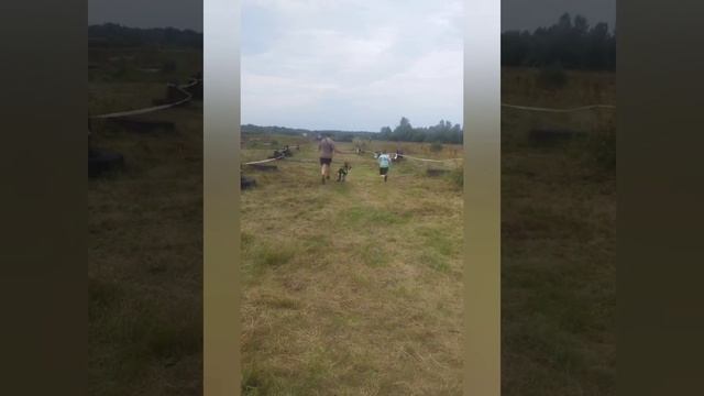 наши душевные поездки на велосипеде, 750 км на 24 колесах, соревнования с собаками, каникросс лето смотреть онлайн