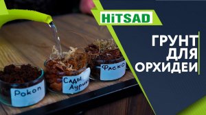 Как выбрать грунт для Орхидеи  Готовый грунт для орхидей  Приготовление почвы