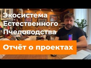 Экосистема естественного пчеловодства. Отчет о проектах 2023.