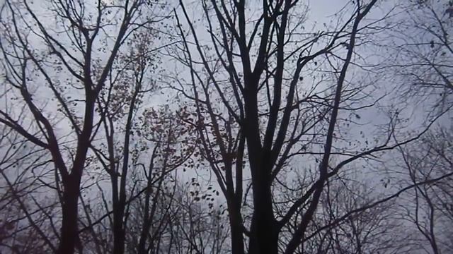 Однокласснику. Анна Заруба. смотреть онлайн