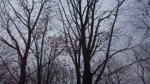 Однокласснику. Анна Заруба.