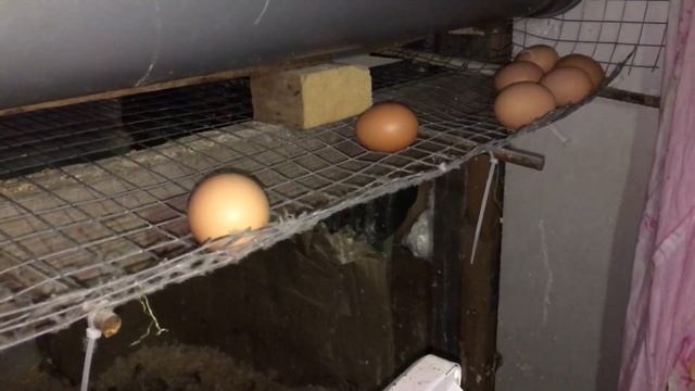 Практичный курятник своими руками . Подробно.