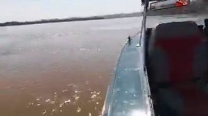 Прогресс 4 Сузуки 50 4 такта. Моща...