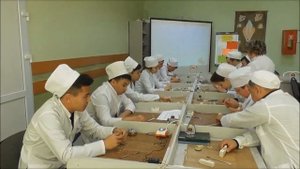 Техника изготовления пластмассовых мостовидных протезов