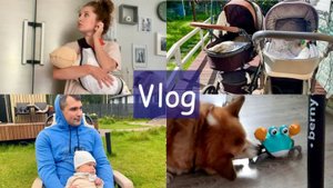 минусы и плюсы колясок 🤓Сэдди схватил краба 😅поехали на ДР 🥳 VLOG