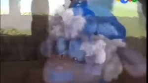 25 Загадки Джесса Как вырастить фасоль