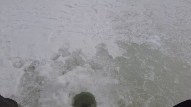 Рыбалка. Тайна Монастырского пруда. Приехали за щукой, но рулила красноперка на безмотылку! смотреть онлайн