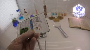 Огурец корнишон Дружная Семейка F1. СеДеК