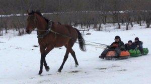 Езда на лошади.Катаемся на тюбинге