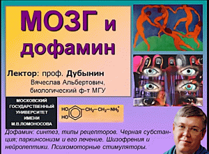 "Мозг и Дофамин"-Вячеслав Дубынин МГУ(лекция)