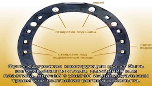 Зачем подковывают лошадей