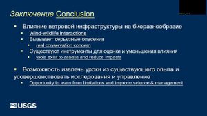 Лекция «Влияния ветровой энергетики на биоразнообразие» (Тодд Катцнер)