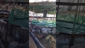 Скважина-3.Форелевое хозяйство.