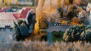 Осенний джаз | Cinematic Drone Footage 11