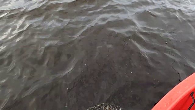 15. November 2023 смотреть онлайн