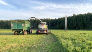 Заготовка сенажа. Второй укос многолетних трав 2021. ООО «Родина», Воскресенск, Московская область