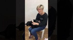 ПОЧЕМУ У СОБАК ВОНЯЮТ ЛАПЫ