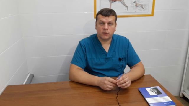 ЧТО ДЕЛАТЬ ЕСЛИ ВАШ ПИТОМЕЦ ТРЯСЕТ УШАМИ? смотреть онлайн