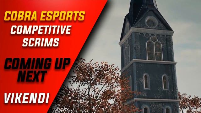 COBRA ESPORTS/ SCRIMS/ ELITE CUSTOMS