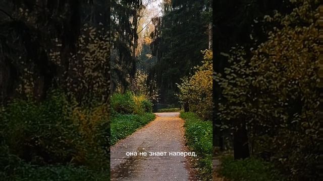 Мудрость природы Продолжение стиха в описании смотреть онлайн