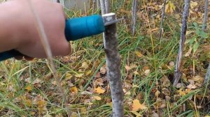 как работает электро секатор Violeworks,