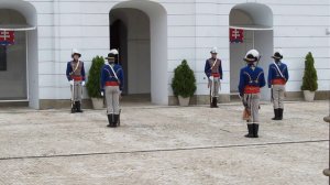Смена караула у президенского дворца в Братиславе