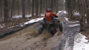 Квадрик в деле. Comman Scorpion 200CC
