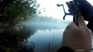 Карась на Флэт фидер. Сходы и Обрывы.Мощные поклёвки