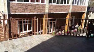 Ольгинка. Счастливый хотей. Супер!