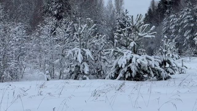 Заметки Альтернативщика, Солнечная электростанция, БАК аккумулятор и Новый год !
