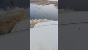 Ниссан датсун тест-драйв