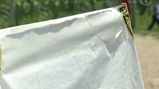 В небе над Гомелем - воздушные змеи, радиоуправляемые модели вертолетов. смотреть онлайн