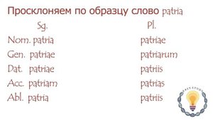 Числа, рода, падежи и склонения. Латынь. Урок 2