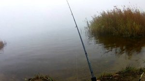 Рыбалка отводной поводок 🎣 Самая уловистая оснастка на окуня 🐟