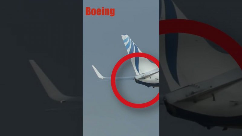 Как отличить Boeing от Airbus??? #boeing #airbus #short #авиация #факты