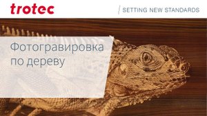 Лазерная фотогравировка по дереву