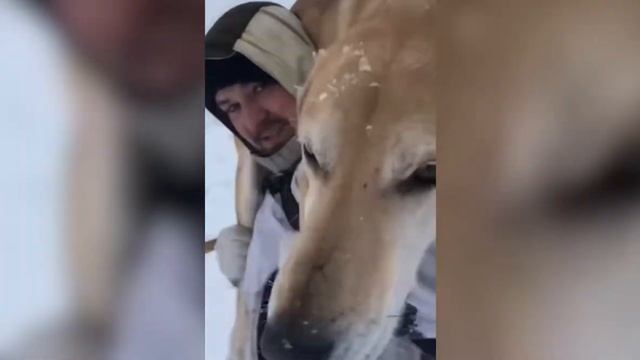 На охоту с собакой ходим! смотреть онлайн