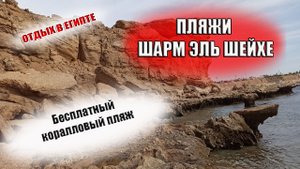 ЕГИПЕТ. Бесплатный коралловый пляж в бухте Майя в Шарм Эль Шейхе