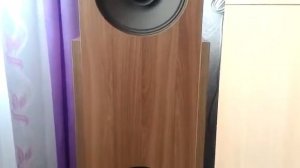 акустика на динамиках 8 гд 1-25+4а-28