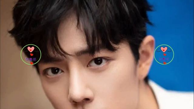 肖战，晚熟的顶流，一个人要走多少路 #肖战 #XiaoZhan #Сяо Чжань #シャオ・チャン #เซียวจ้าน #샤오잔 #1黎春郑 смотреть онлайн