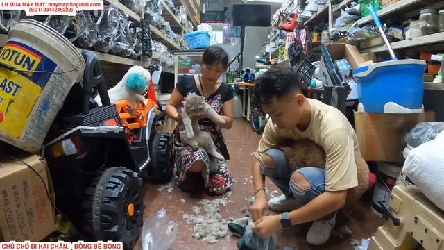 VỤ ÁN KẺ LẠ CẠO LÔNG MIU | TẬP 10: ĐÃ BẮT ĐƯỢC "KẺ RĂNG HÔ" MANH ĐỘNG CẠO LÔNG EM MIU ĐÁNH CHỊ HIỀN смотреть онлайн