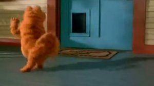 Танец рыжёго кота